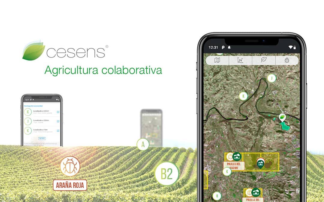 Cesens® apuesta por la agricultura colaborativa