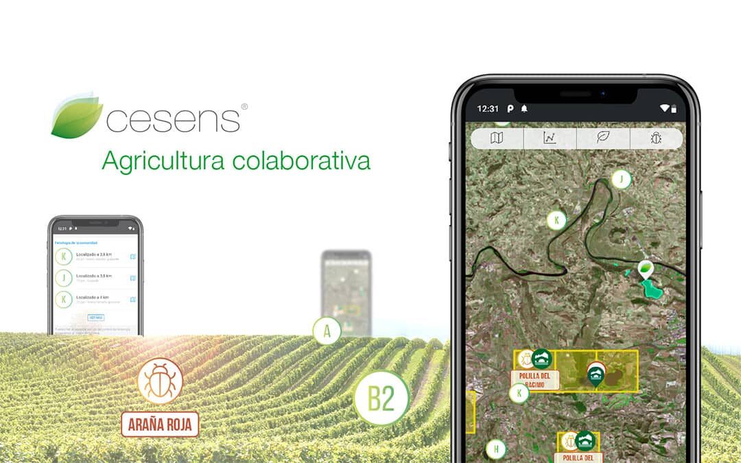 agricultura colaborativa