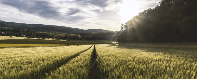 cesens agrosierra