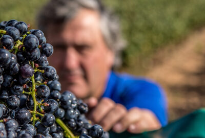 Bodegas del Medievo