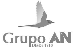 cesens grupoAN-logo