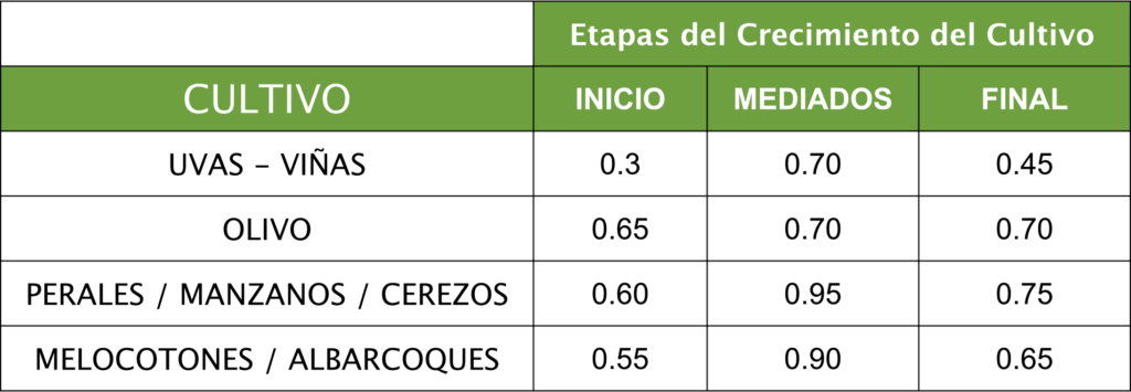 etapas del crecimiento del cultivo