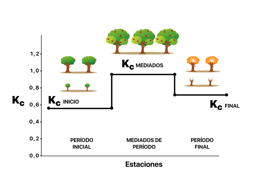 evapotranspiracion del cultivo