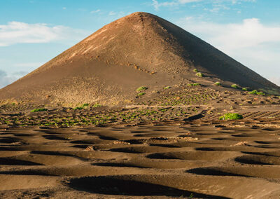 Consejo Regulador de la Denominación de Origen Vinos de Lanzarote