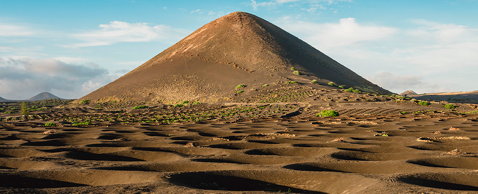 Consejo Regulador de la Denominación de Origen Vinos de Lanzarote