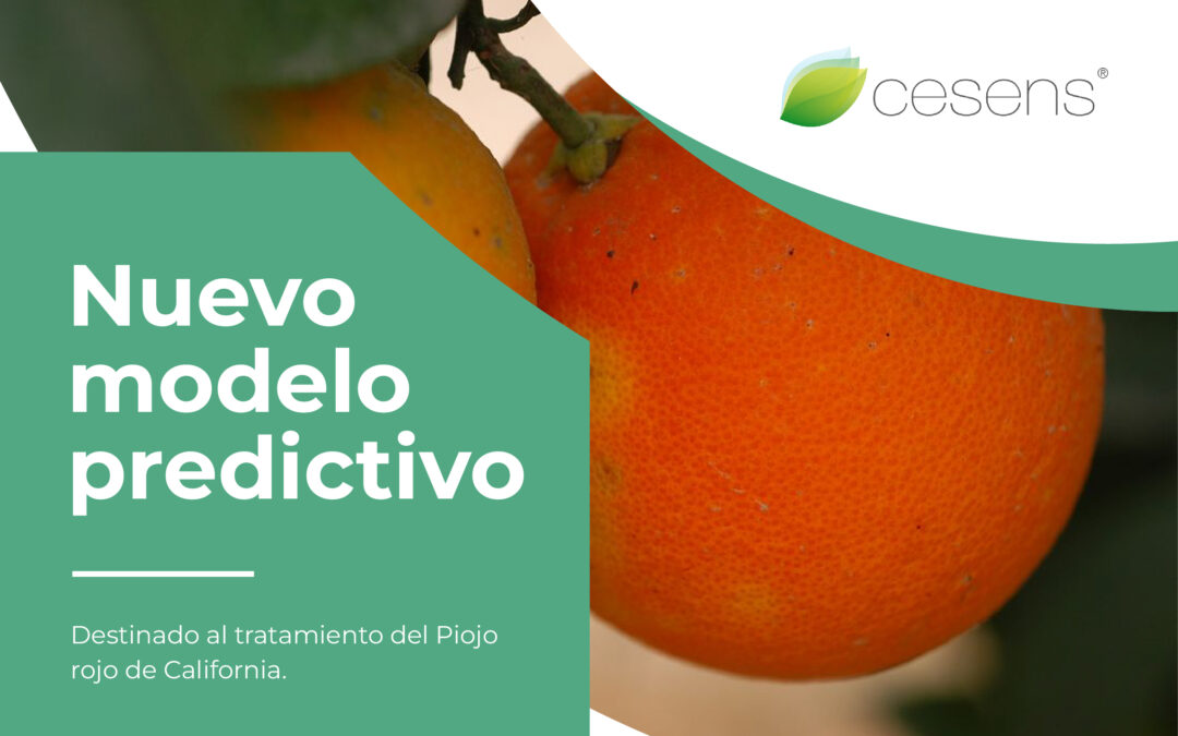 Nuevo modelo predictivo contra el piojo rojo