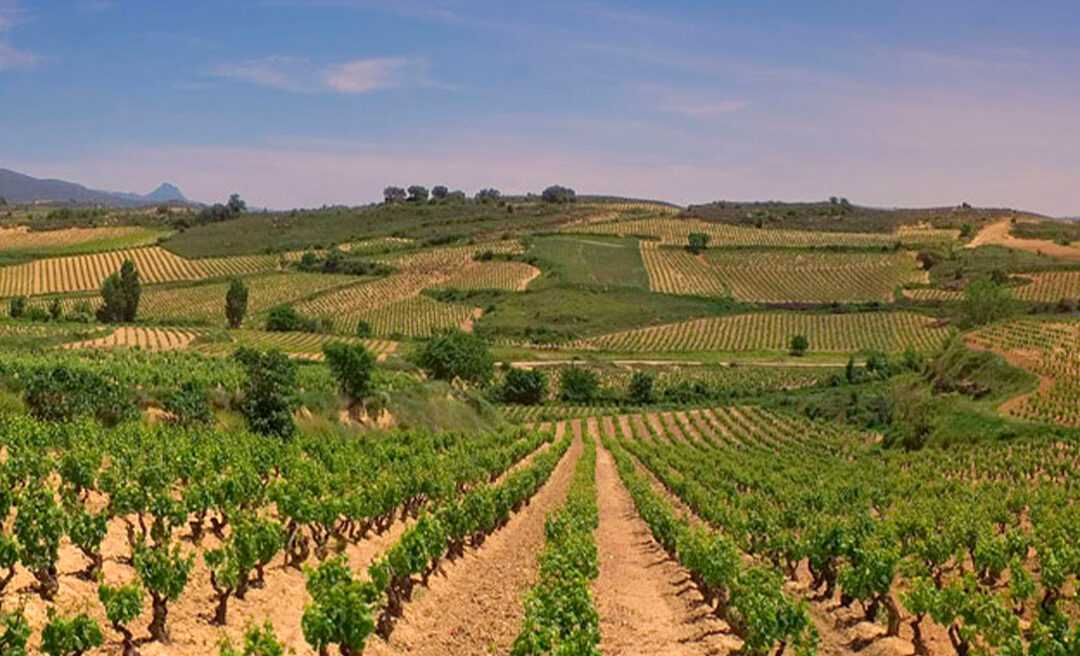 Bodegas Remírez de Ganuza