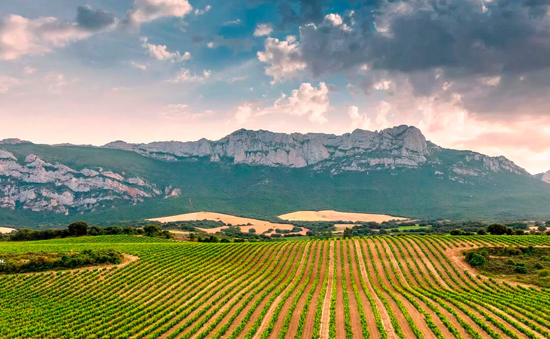 Bodegas Altún