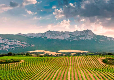 Bodegas Altún