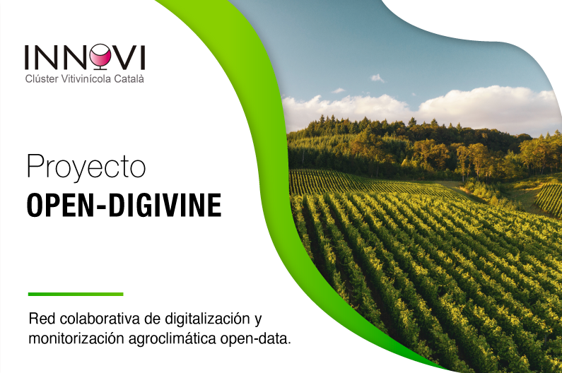 Proyecto OPEN-DIGIVINE: Red colaborativa de digitalización y monitorización agroclimática open-data