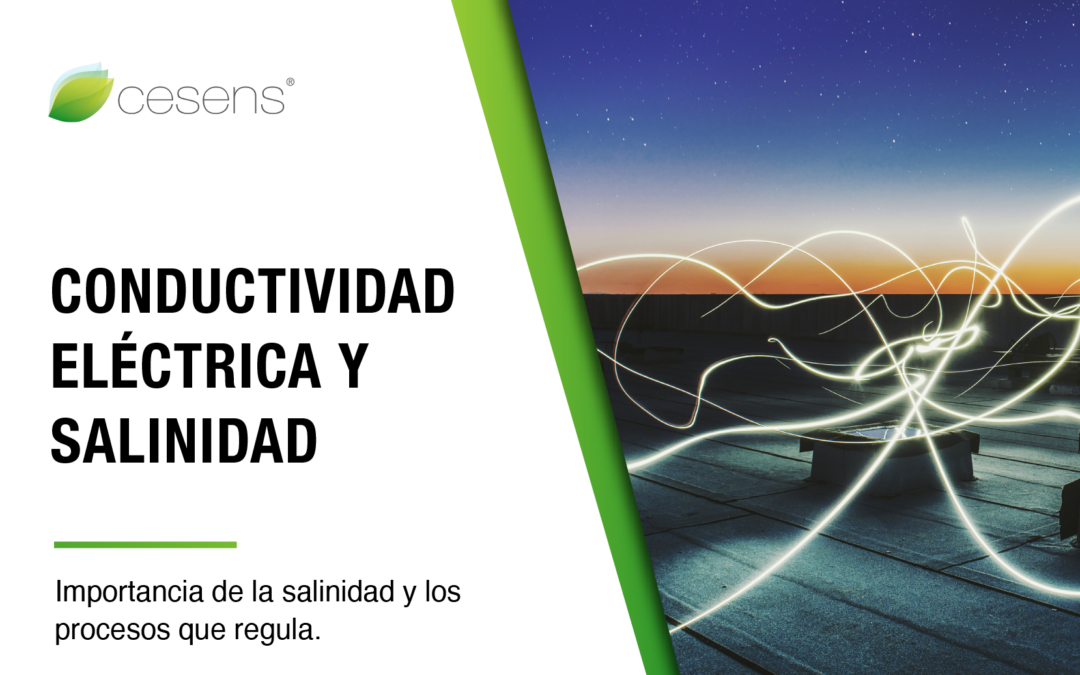 Conductividad eléctrica y salinidad