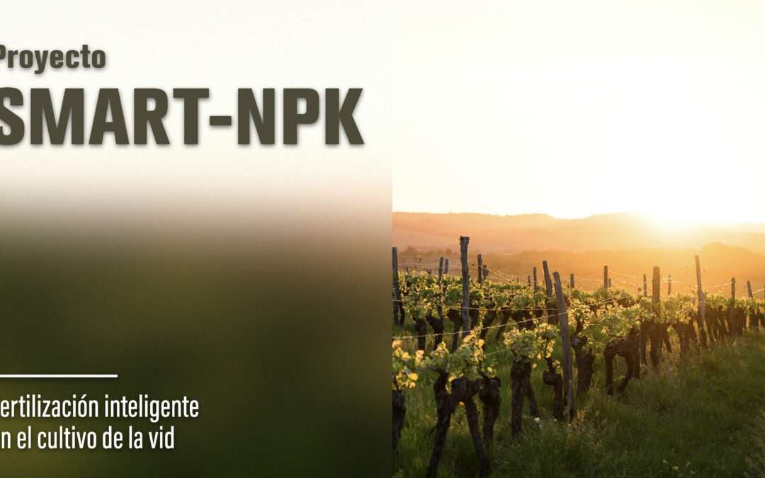 Proyecto SMART-NPK