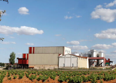 BODEGAS PURISIMA CONCEPCION SOC. COOP.