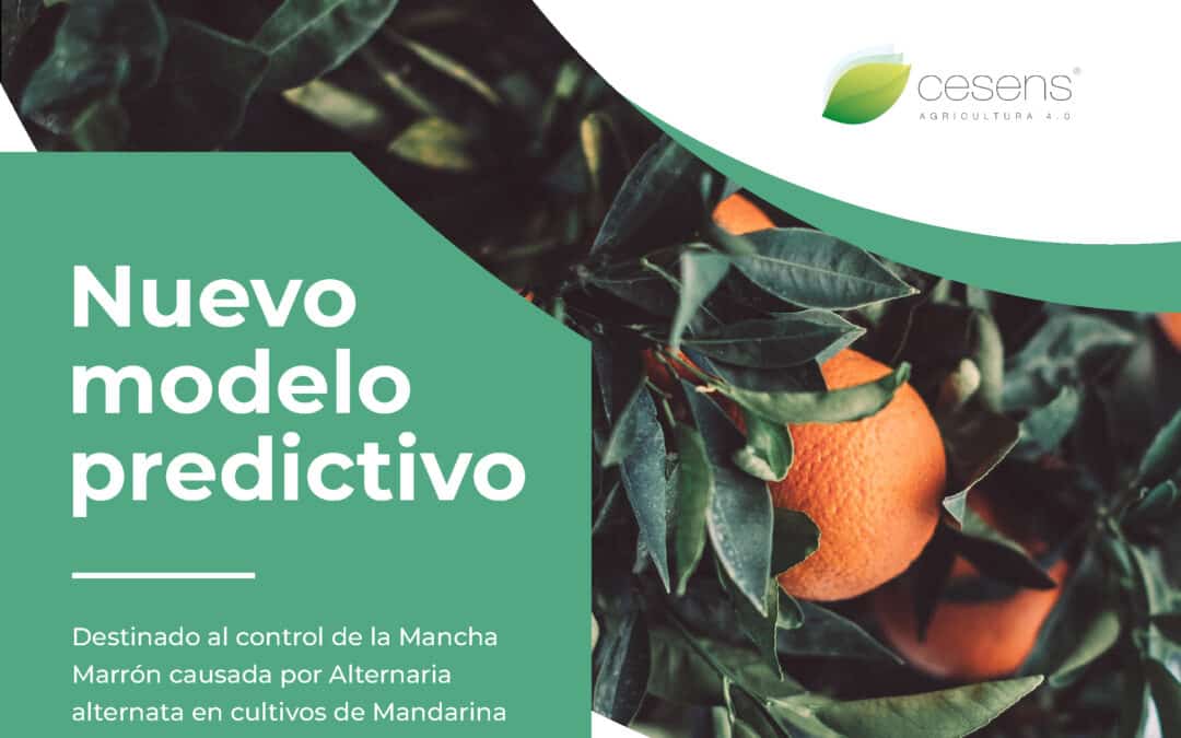 Nuevo modelo predictivo destinado al control de la Mancha Marrón