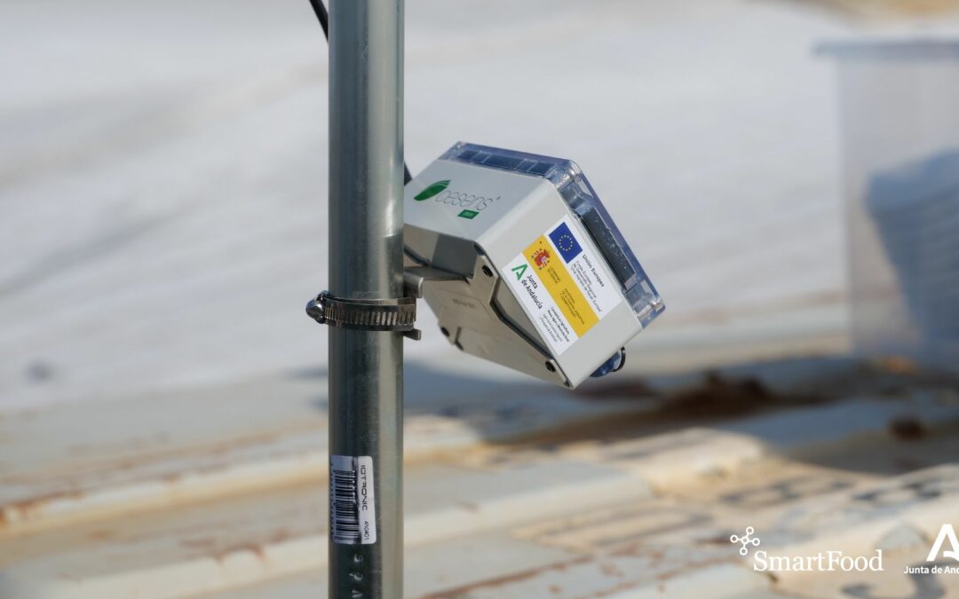 Primera instalación para el proyecto SmartFood