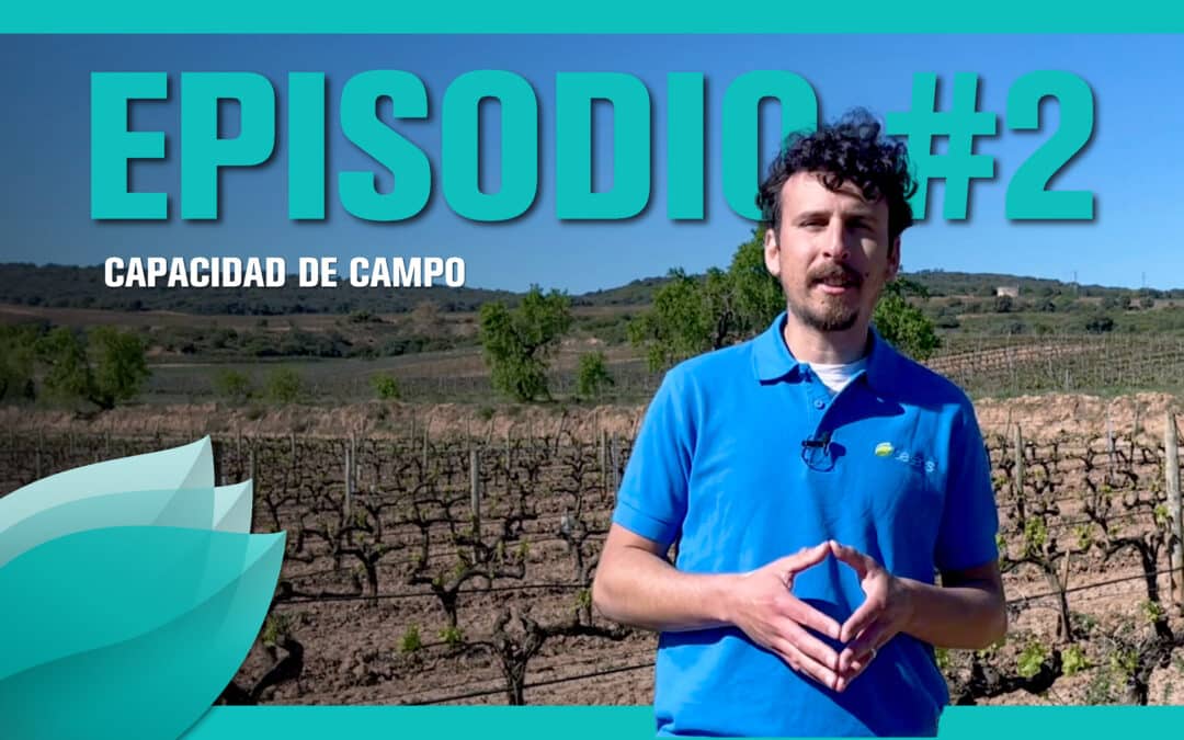 Cesens Academy E.2: Capacidad de Campo