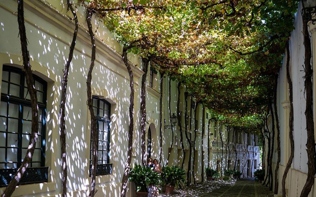 Bodegas Tío Pepe