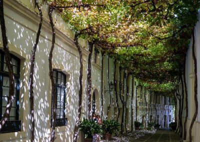 Bodegas Tío Pepe