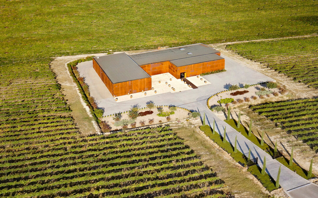 Bodegas El Grillo y la Luna