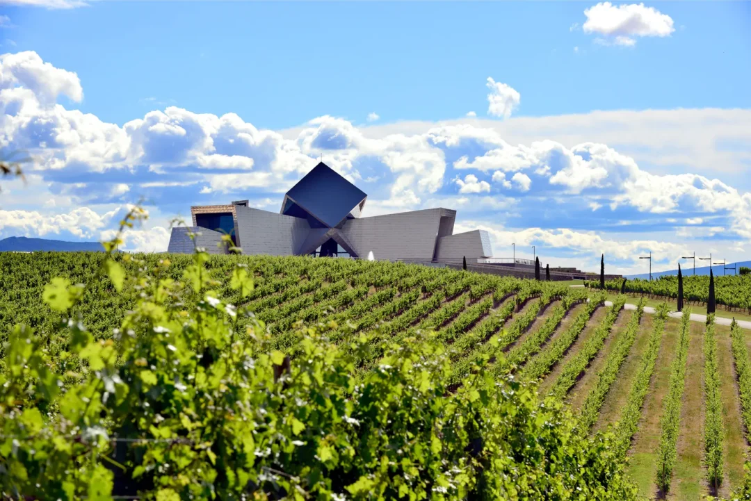 BODEGA SOMMOS PRINCIPAL BAJA