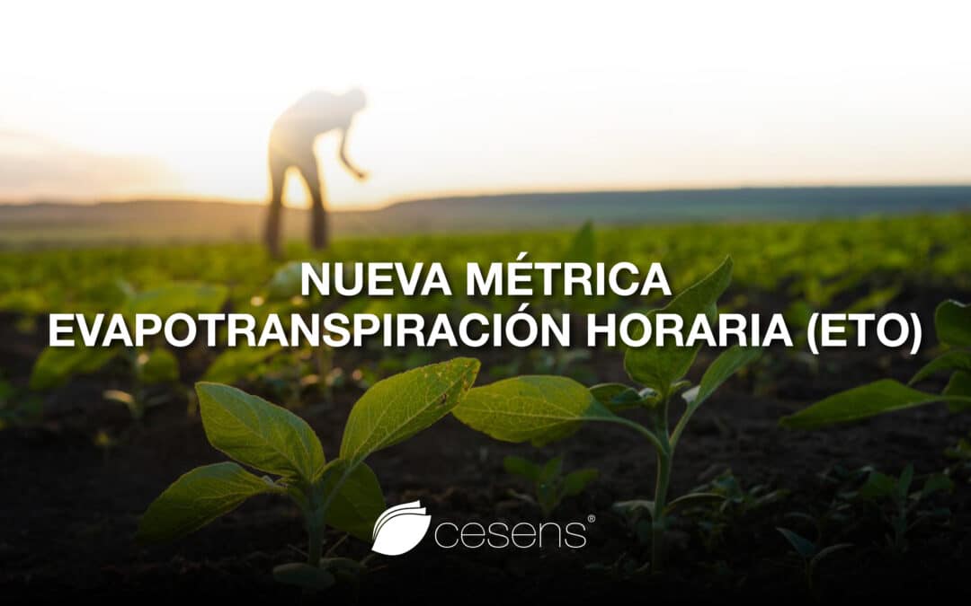 Nueva métrica Evapotranspiración Horaria (ETo)