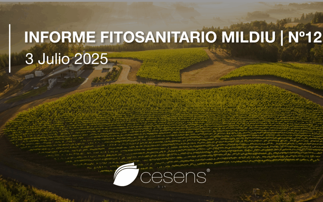 informe_fitosanitario_12
