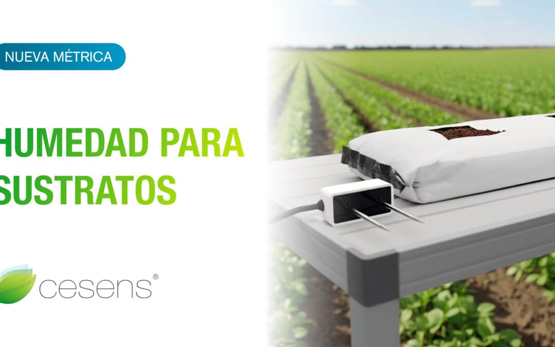 Nueva métrica_Sustratos