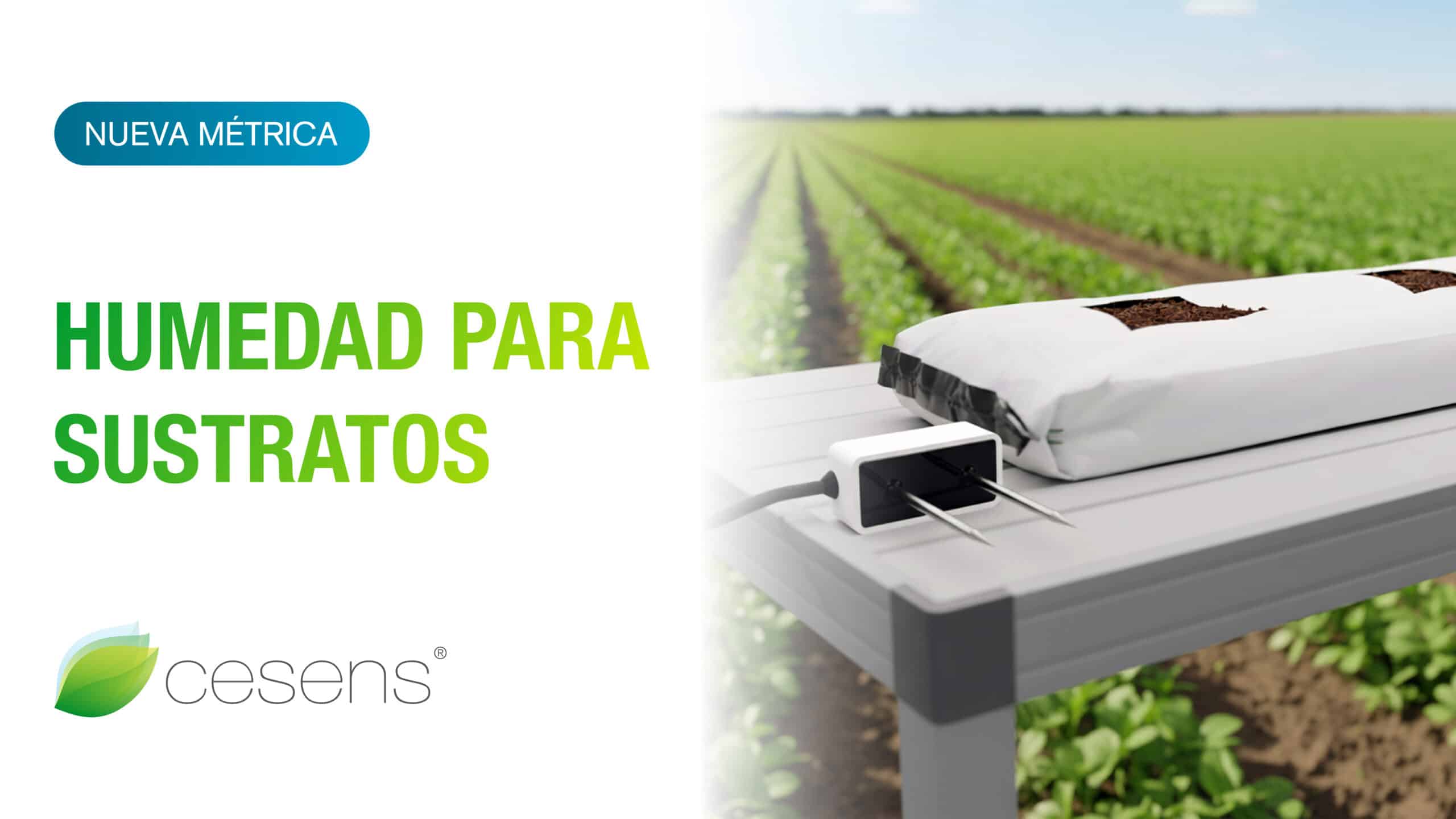 Nueva métrica de humedad para sustratos en Cesens