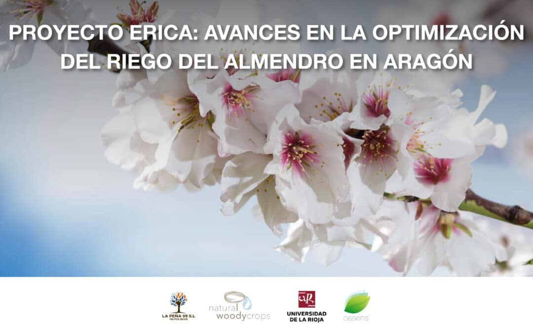 PROYECTO ERICA: AVANCES EN LA OPTIMIZACIÓN DEL RIEGO DEL ALMENDRO EN ARAGÓN