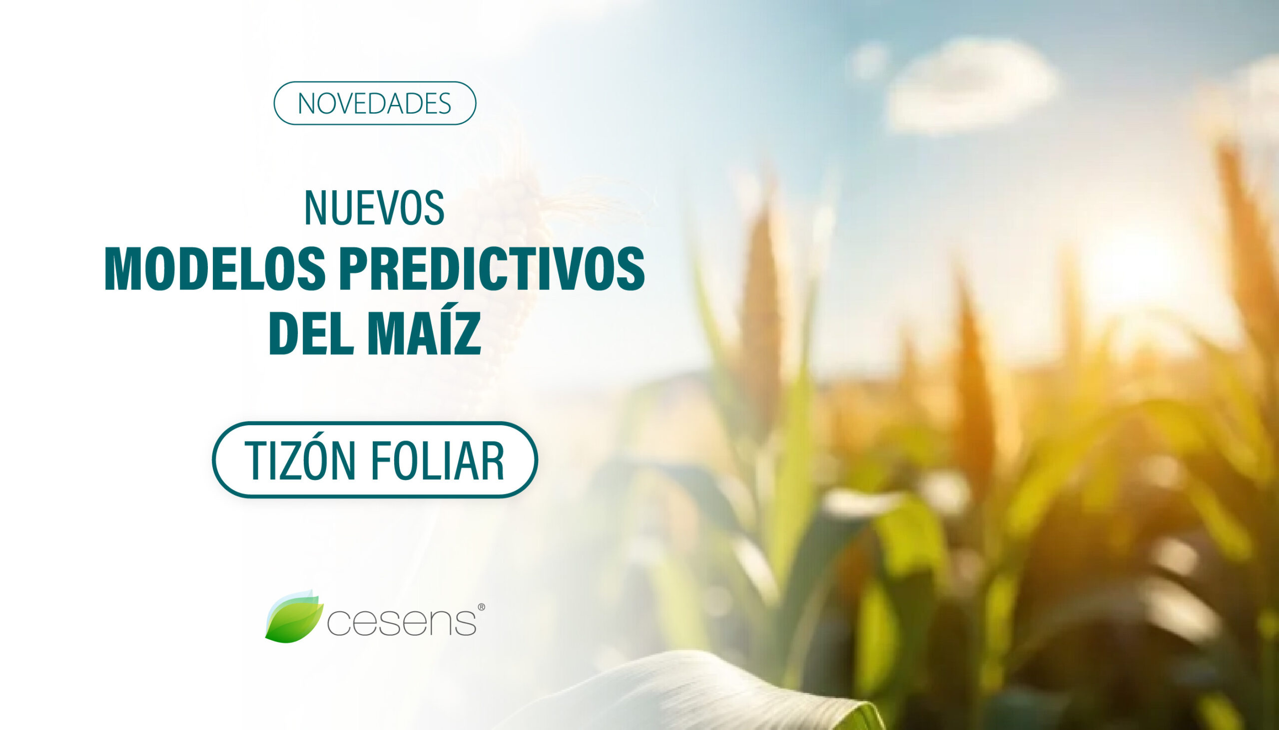 Predicción del Riesgo de Tizón foliar en Maíz