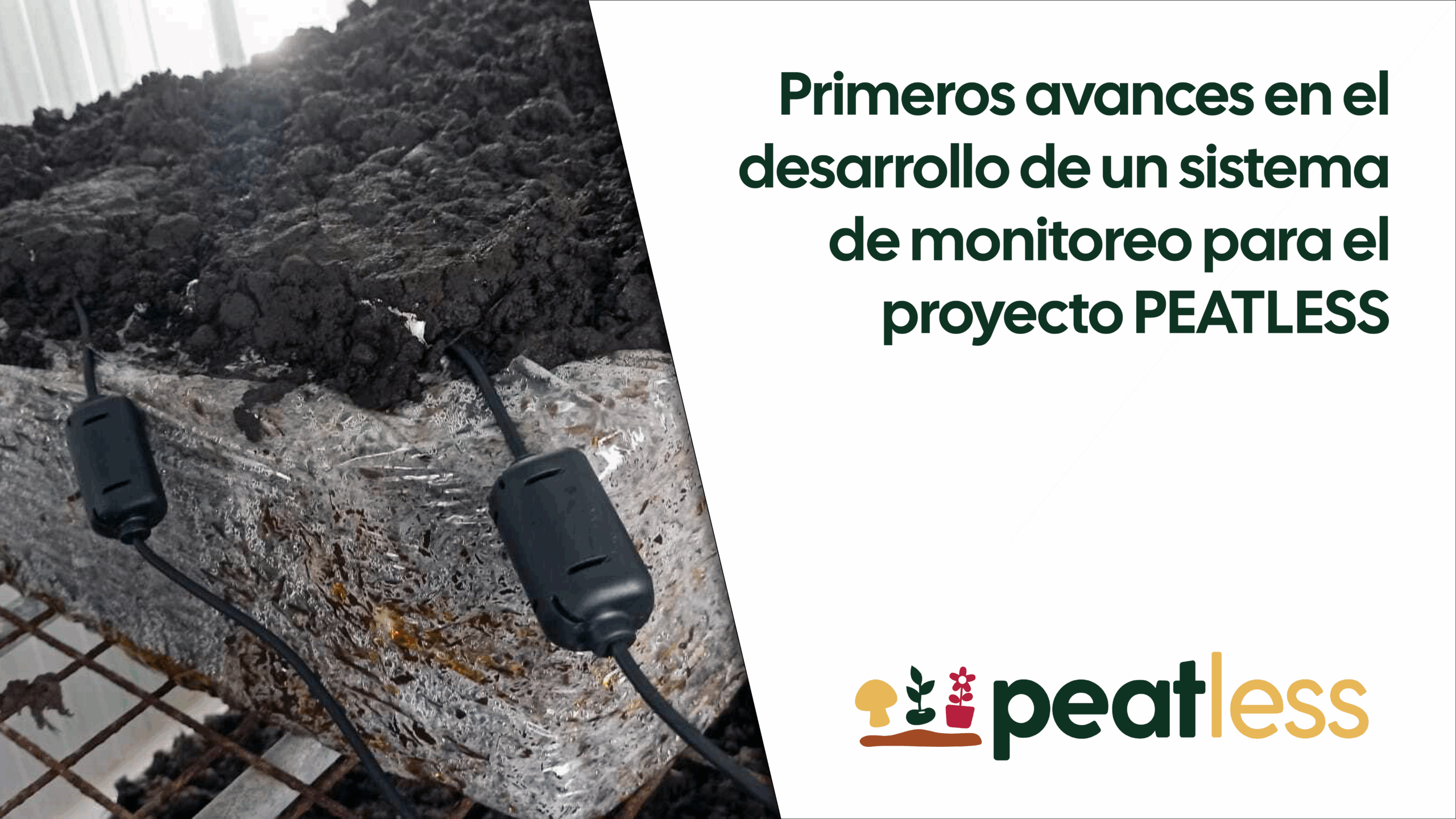 Primeros avances en el desarrollo de un sistema de monitoreo para el proyecto PEATLESS