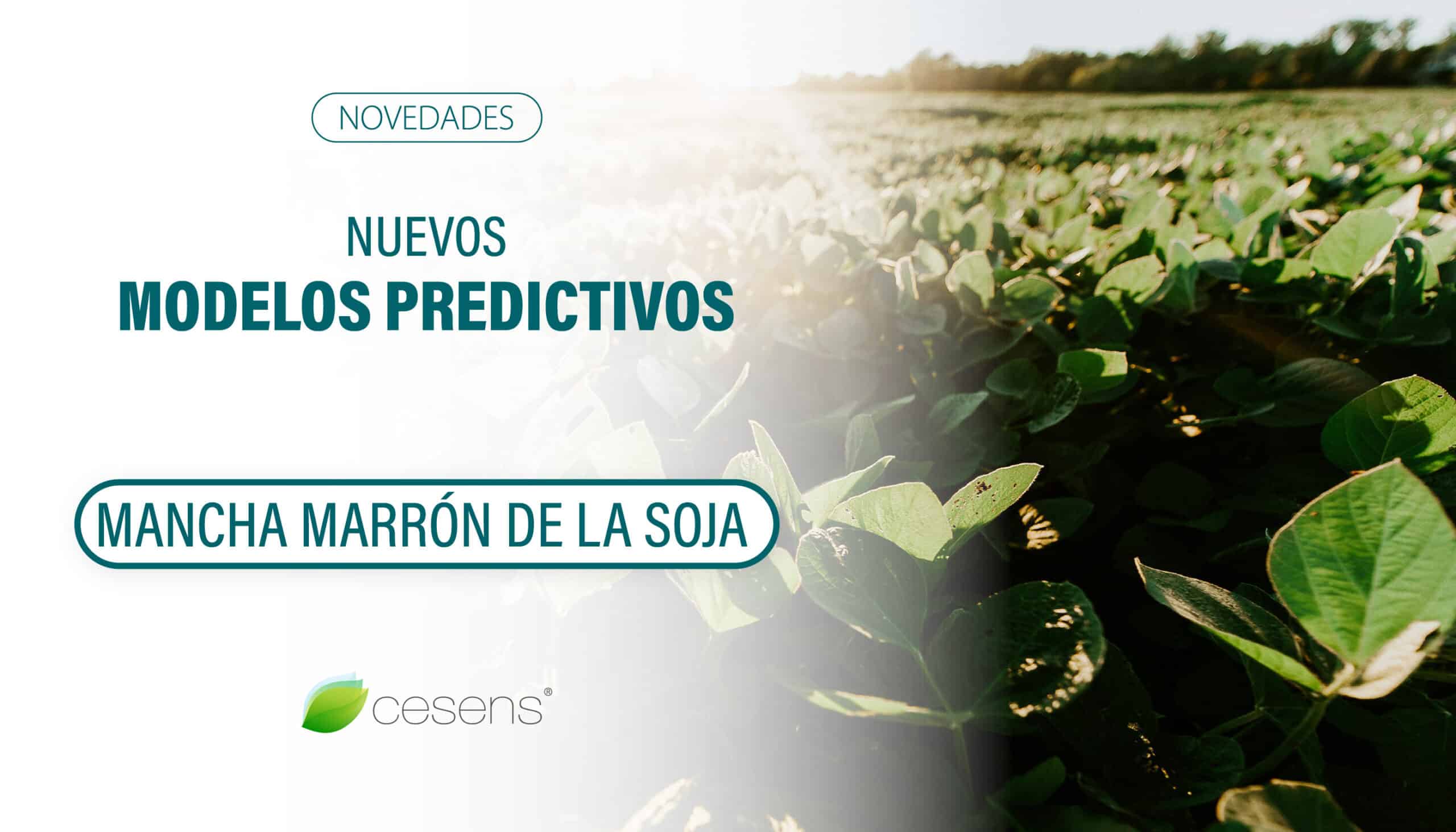 Predicción del Riesgo de Mancha Marrón en Soja