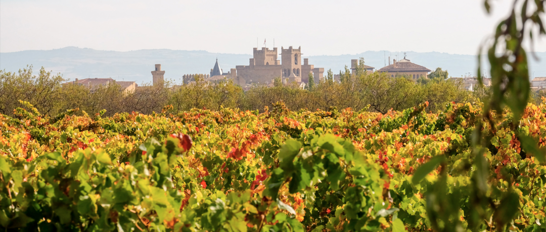 Bodega Vega del Castillo