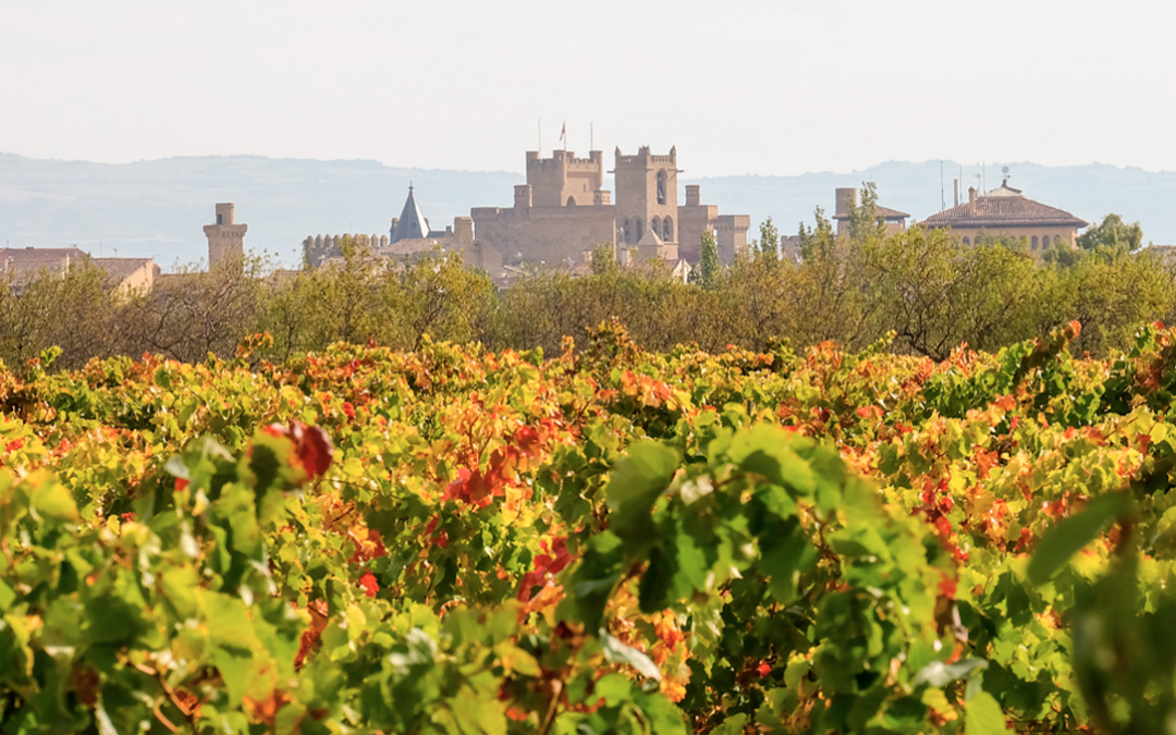 Bodega Vega del Castillo