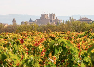 Bodega Vega del Castillo