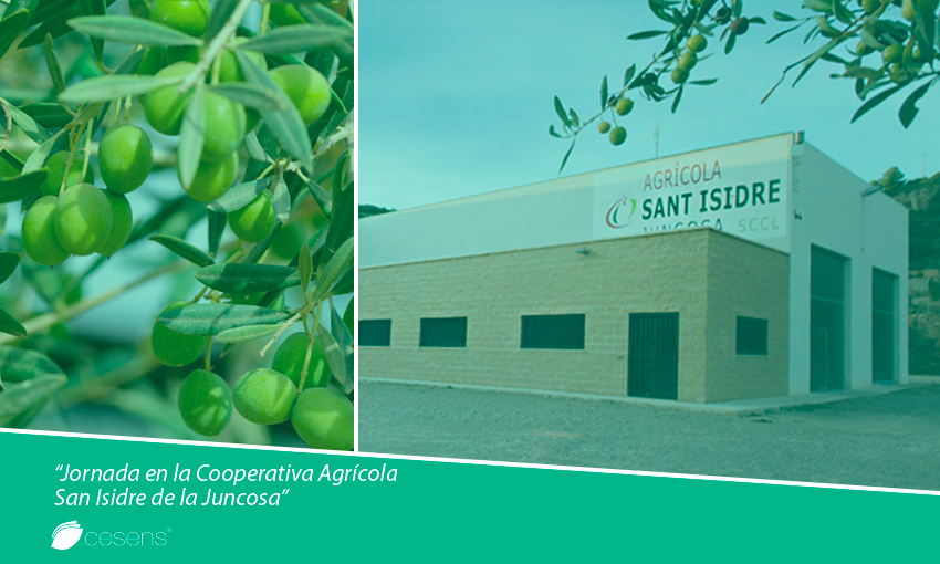 Jornada en la cooperativa agrícola San Isidre de la Juncosa