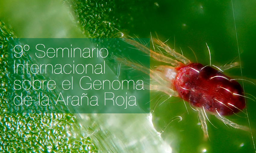 9º Seminario Internacional sobre el Genoma de la Araña Roja