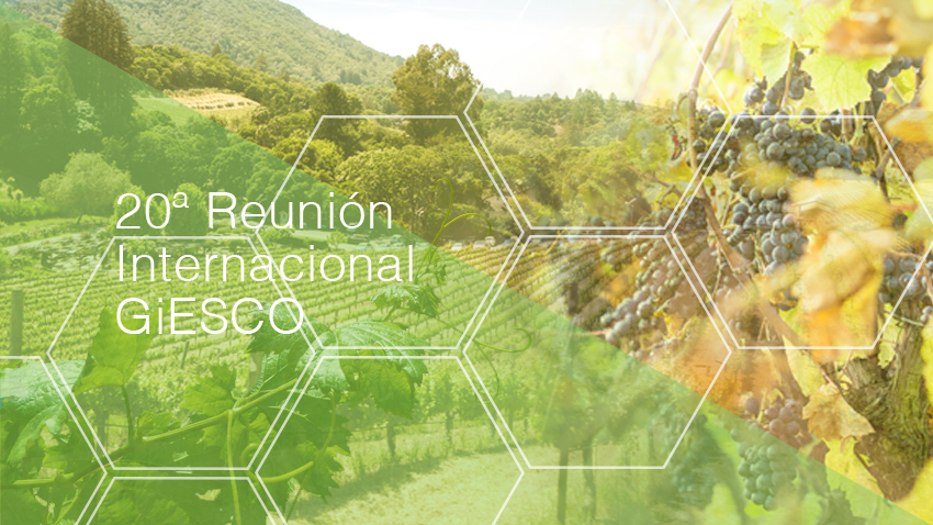 20ª Reunión Internacional GiESCO. Mendoza, 5-10 Noviembre 2017.