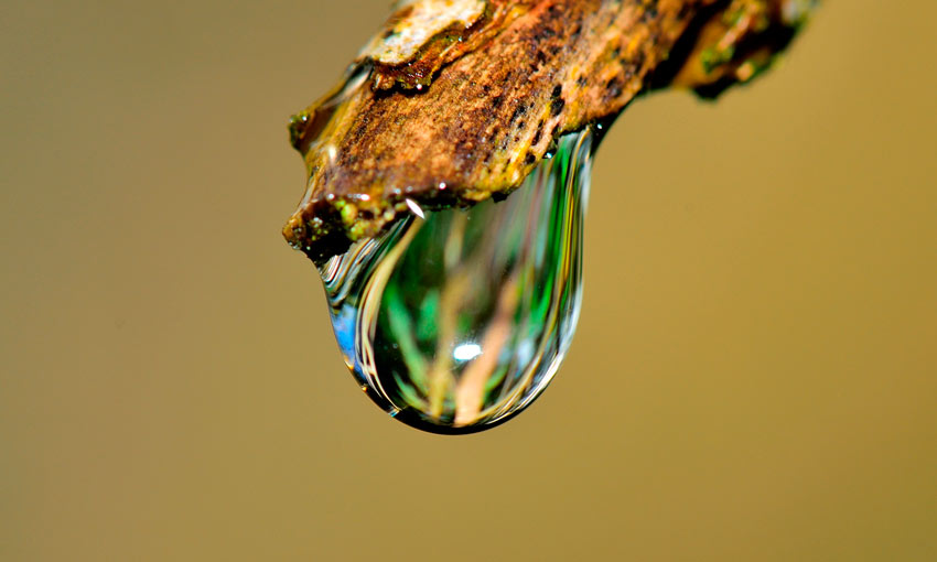 Aplican nanotecnología en cultivos vinícolas para ahorrar agua y limpiar sedimentos