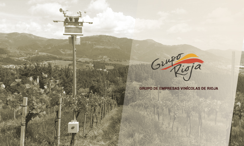 Grupo Rioja promueve un proyecto que permitirá desarrollar un modelo de detección de Mildiu para la Denominación