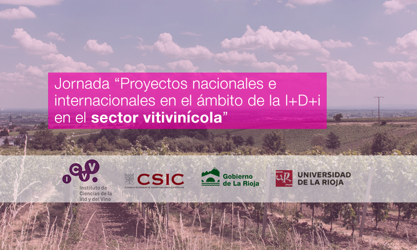 Jornada “Proyectos nacionales e internacionales en el ámbito de la I+D+i en el sector vitivinícola”