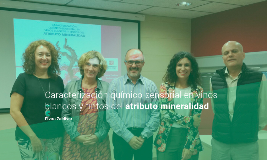 Caracterización químico-sensorial en vinos blancos y tintos del atributo mineralidad