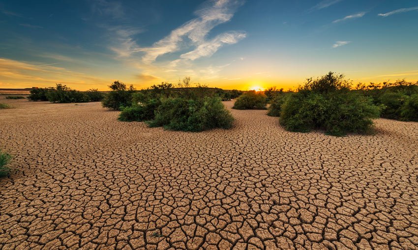 “Prevenir y no sólo lamentar” los efectos de la sequía